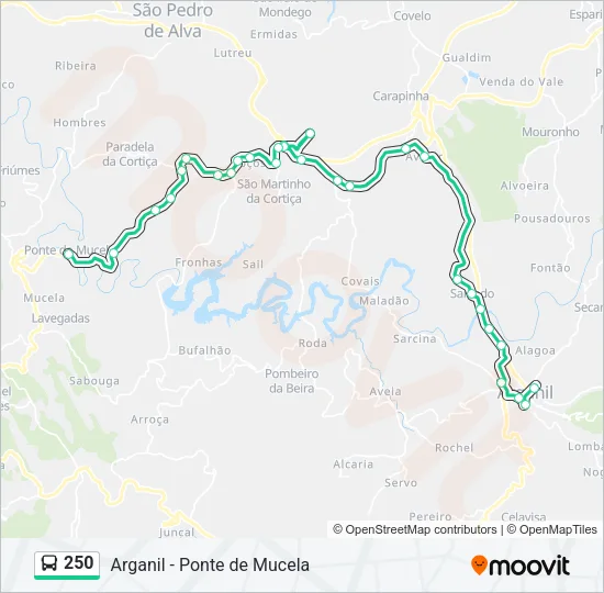 250 Bus Line Map