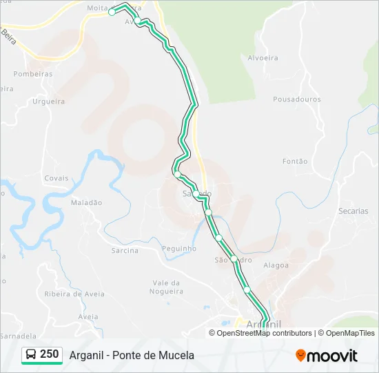 250 Bus Line Map