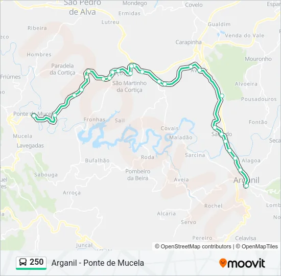 250 Bus Line Map