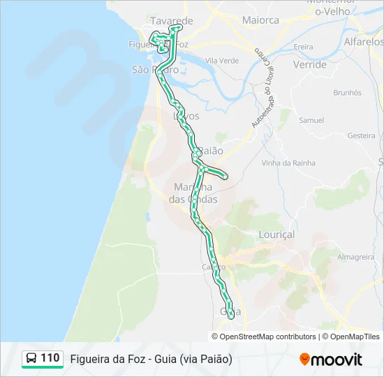 110 Bus Line Map