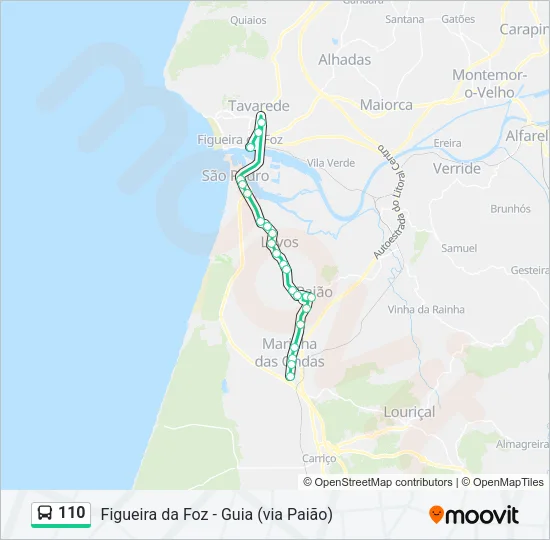 110 Bus Line Map