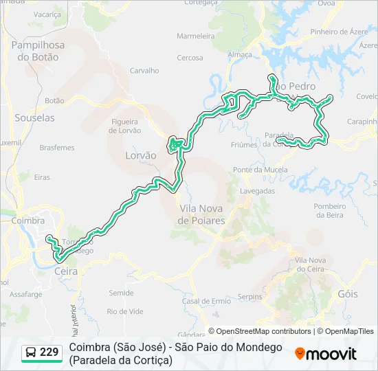 229 Bus Line Map