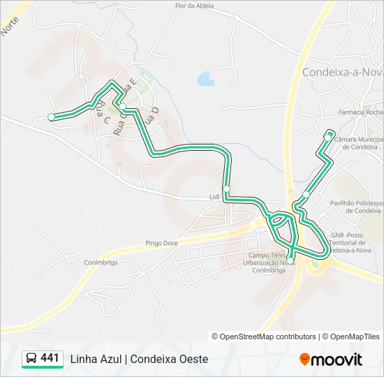 441 Bus Line Map
