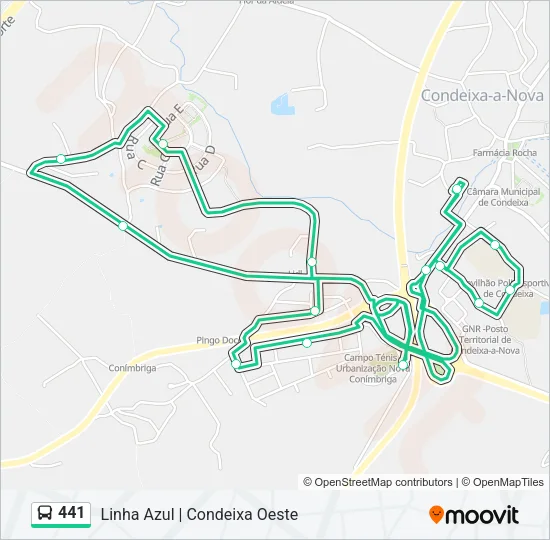 441 Bus Line Map
