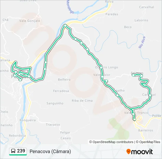 239 Bus Line Map