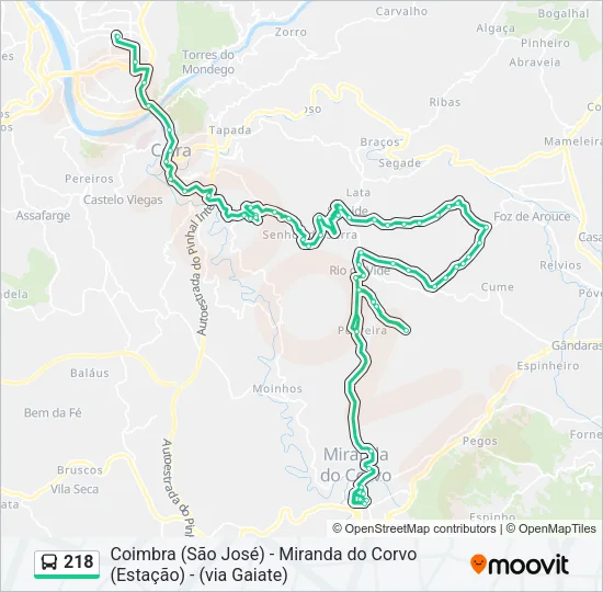 218 Bus Line Map