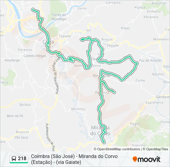 218 Bus Line Map