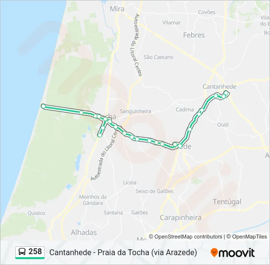 258 Bus Line Map