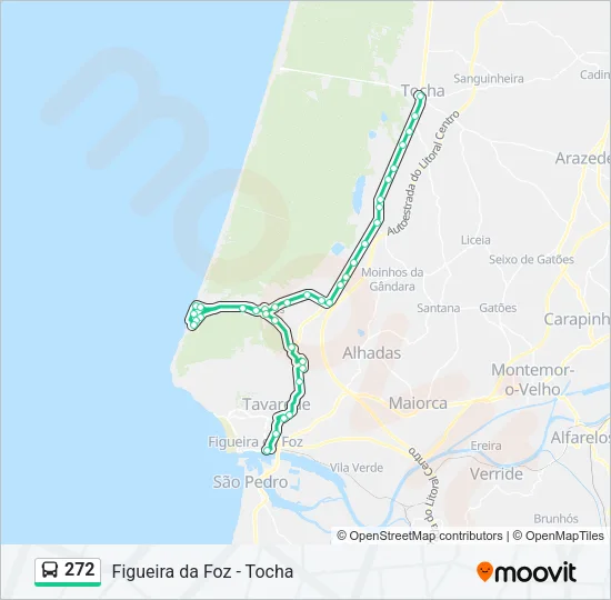 272 Bus Line Map