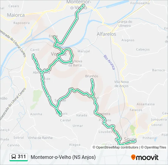 311 Bus Line Map