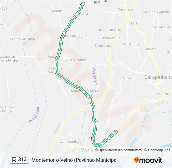 313 Bus Line Map