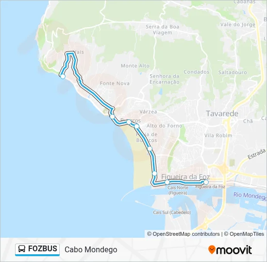 FOZBUS Bus Line Map