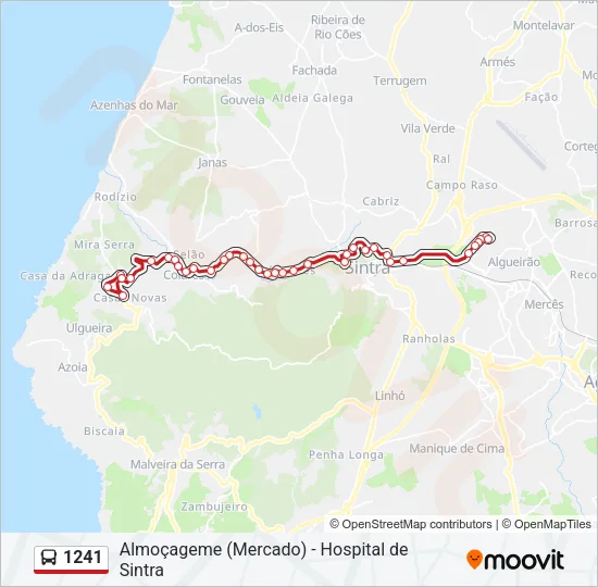 1241 Bus Line Map