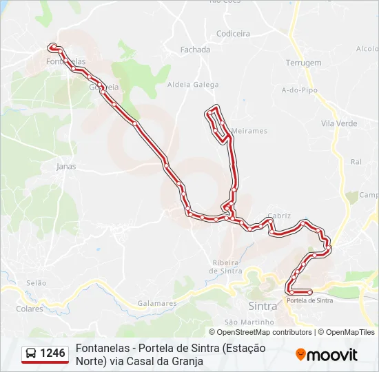 1246 Bus Line Map