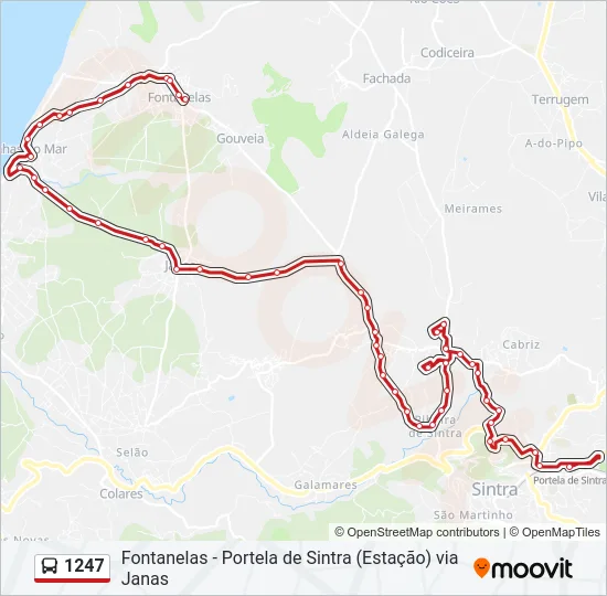 1247 Bus Line Map