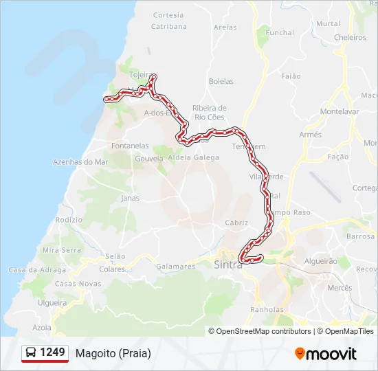 1249 Bus Line Map