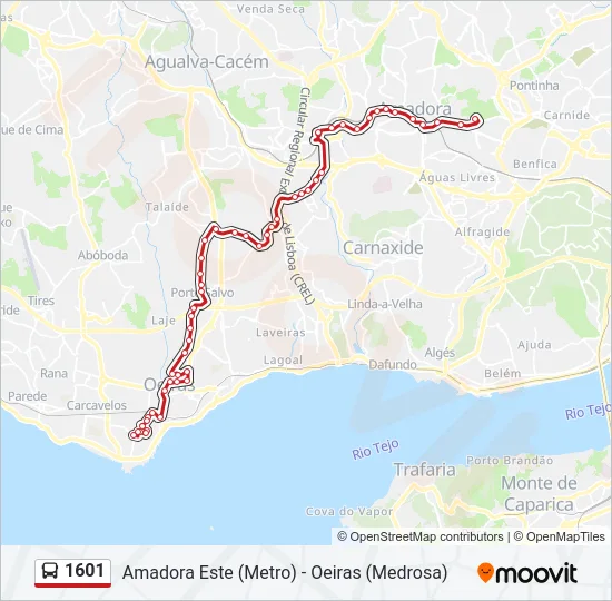 1601 Bus Line Map