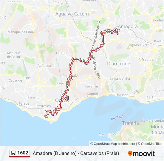 1602 Bus Line Map