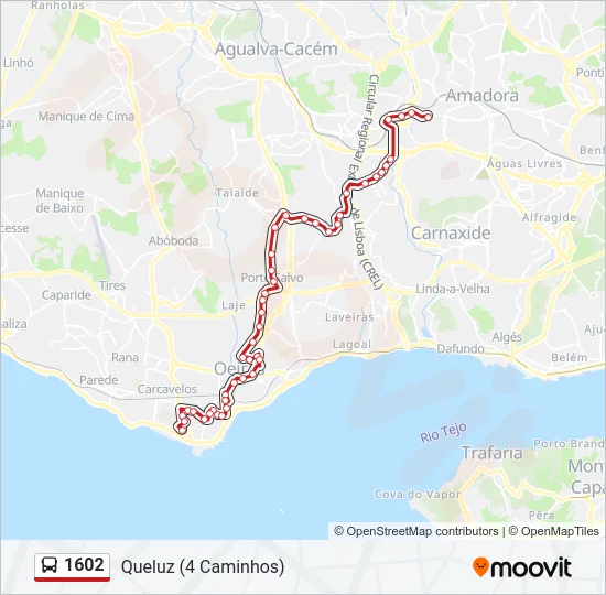 1602 Bus Line Map