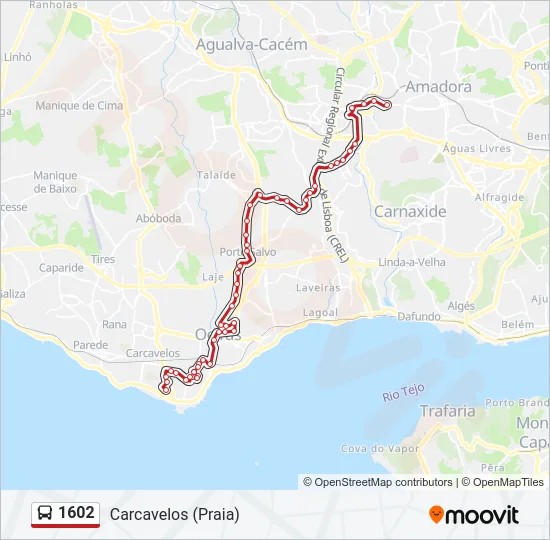 1602 Bus Line Map