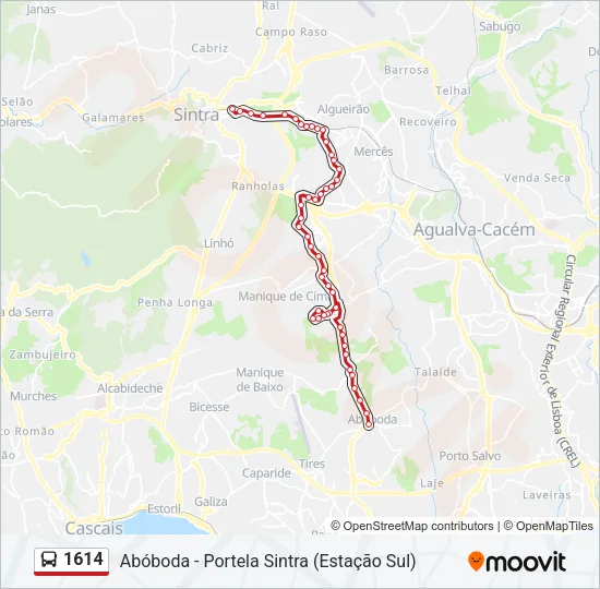 1614 Bus Line Map