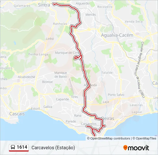 1614 Bus Line Map