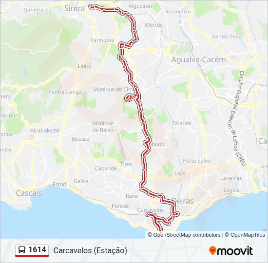 1614 Bus Line Map