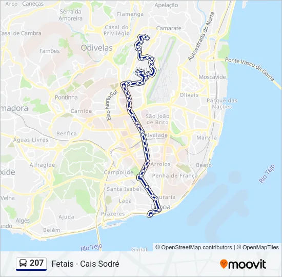 207 Bus Line Map