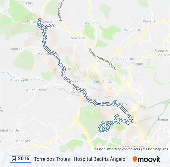 2016 Bus Line Map