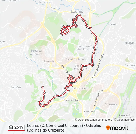 2519 Bus Line Map