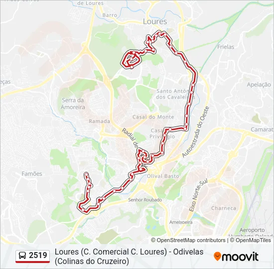 2519 Bus Line Map