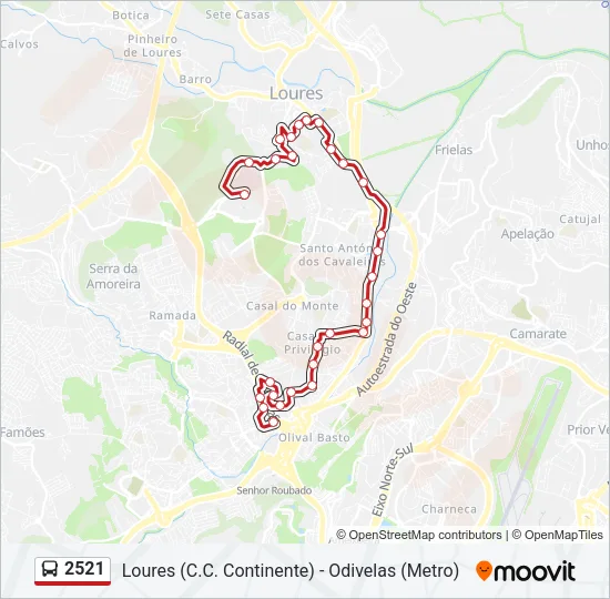 2521 Bus Line Map