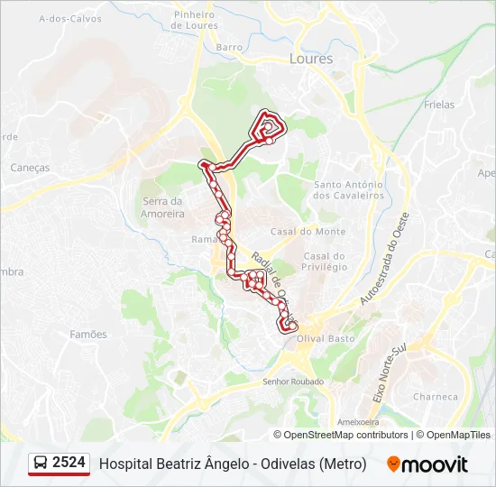 2524 Bus Line Map