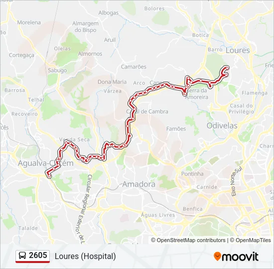 2605 Bus Line Map