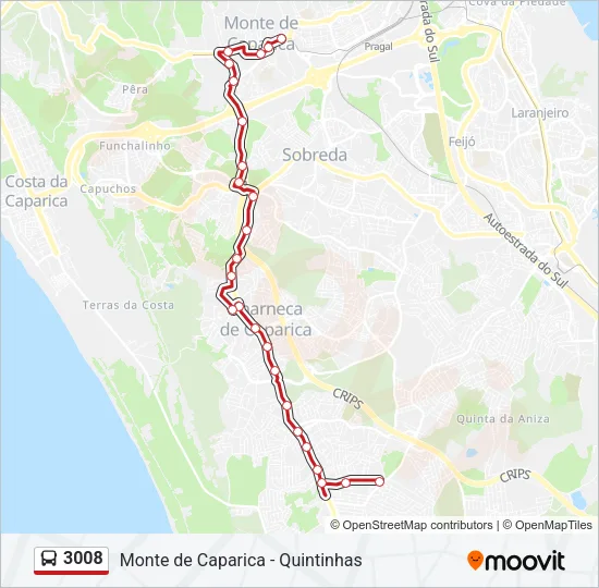 3008 Bus Line Map