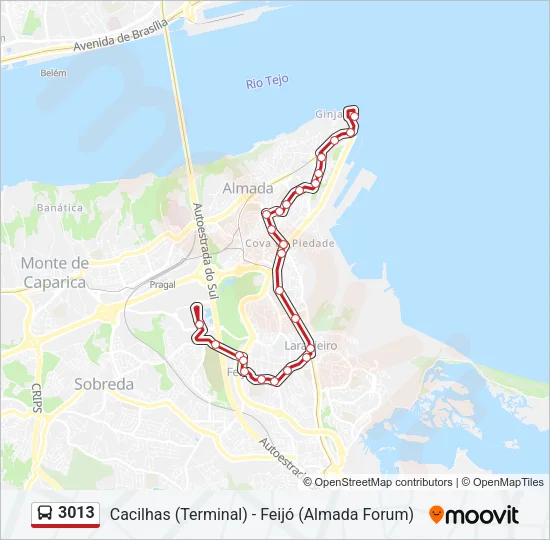 3013 Bus Line Map