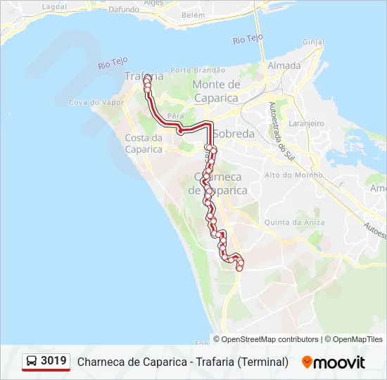 3019 Bus Line Map