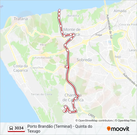 3034 Bus Line Map