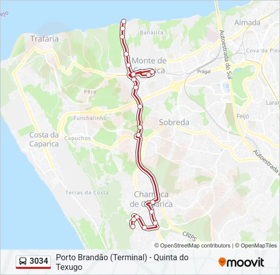 3034 Bus Line Map