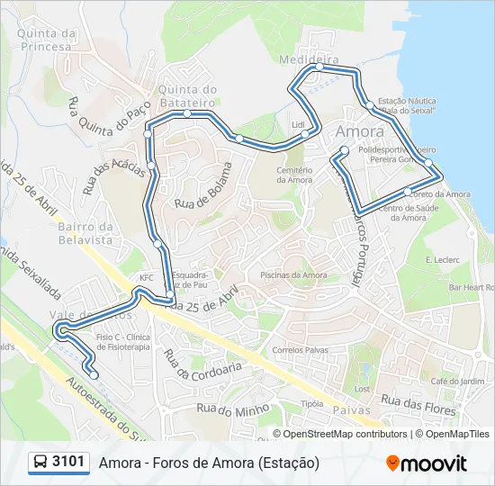 3101 Bus Line Map