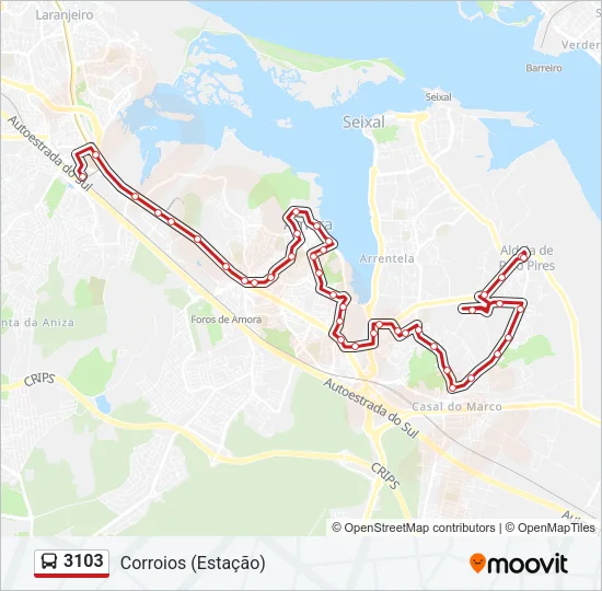 3103 Bus Line Map