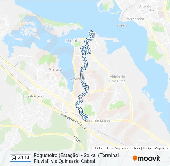 3113 Bus Line Map