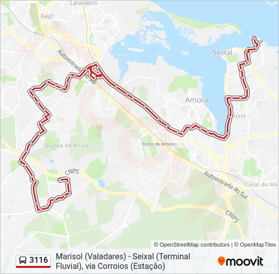 3116 Bus Line Map