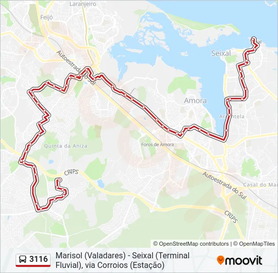 3116 Bus Line Map
