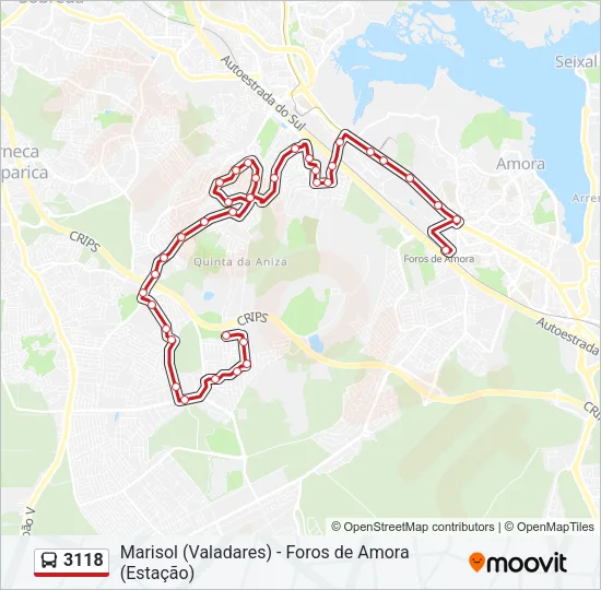 3118 Bus Line Map