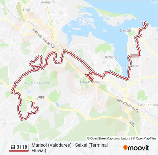 3118 Bus Line Map