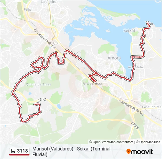 3118 Bus Line Map