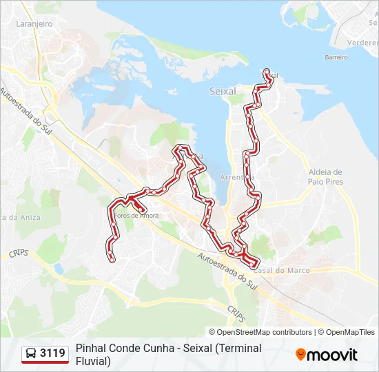3119 Bus Line Map