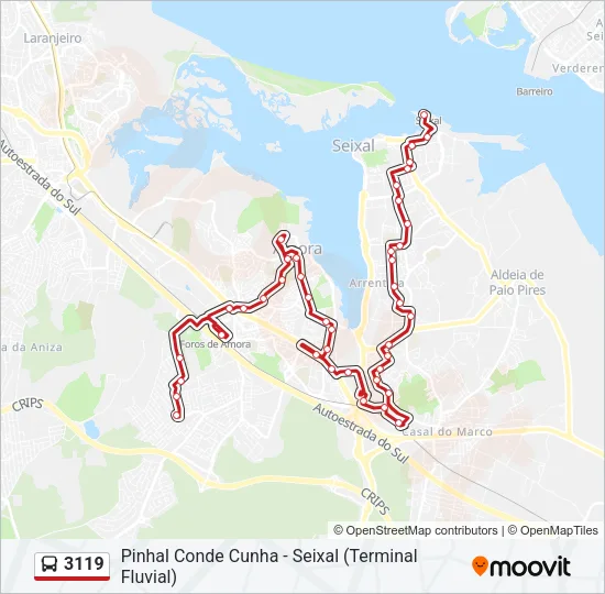 3119 Bus Line Map