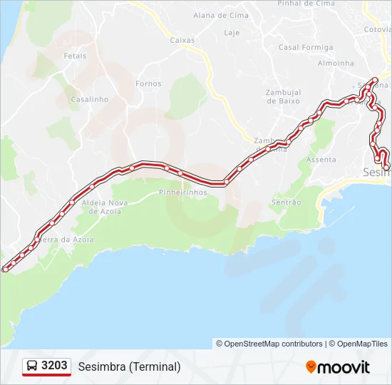 3203 Bus Line Map